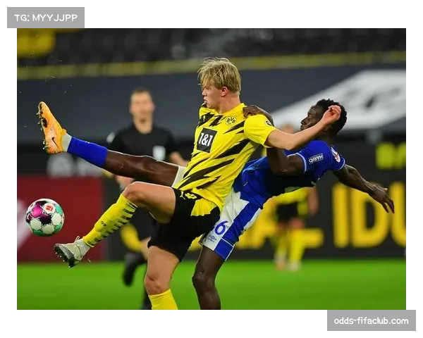 沙尔克04面临保级压力 本轮核心球员伤情成隐患